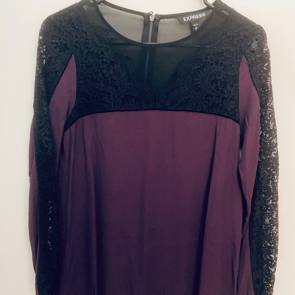 Express Lace Trimmed Dress